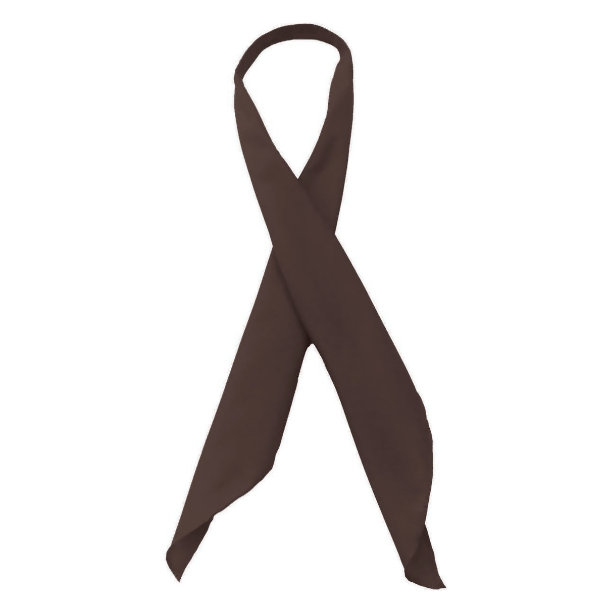 Scarf Ties in Brown